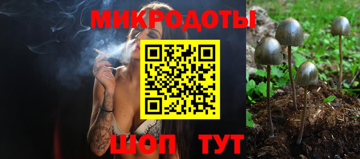 Галлюциногенные грибы Psilocybine cubensis Майский